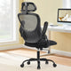 Ergonomic Office Chair