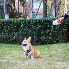 Load image into Gallery viewer, Retractable Dog Leash with LED Light