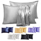Luxury Silk Feel Satin Pillow Case Set of 2 - for healthy hair