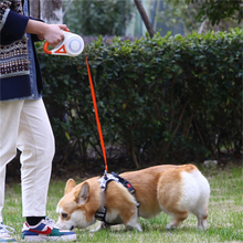 Load image into Gallery viewer, Retractable Dog Leash with LED Light
