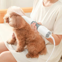 Load image into Gallery viewer, Powerful Handheld Pet Dog Hair Grooming Blow Dryer