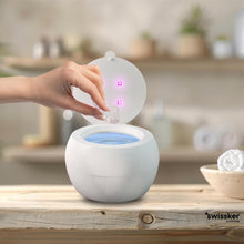 Load image into Gallery viewer, Dental Pod Ultrasonic Cleaning Machine