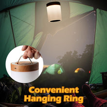 Load image into Gallery viewer, LED Touch Sensor Bedside Table Lamp With Remote