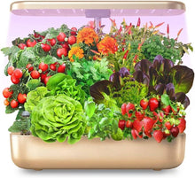 Load image into Gallery viewer, Hydroponic Indoor Garden
