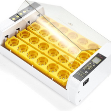 Load image into Gallery viewer, Large Capacity Digital 24 Slot Chicken Quail Egg Incubator Hub