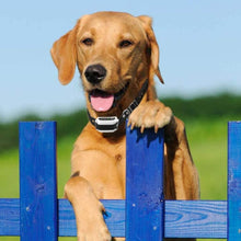 Load image into Gallery viewer, Wireless Invisible Underground Electric Dog Training Wire Fence Set