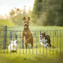 Load image into Gallery viewer, Heavy Duty Outdoor Garden Mounted Metal Dog Barrier Fence
