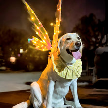 Load image into Gallery viewer, Electric Colorful Kids / Adults LED Fairy Wings Costume