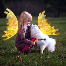 Load image into Gallery viewer, Electric Colorful Kids / Adults LED Fairy Wings Costume