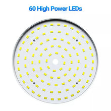 Load image into Gallery viewer, Camp Lanterns