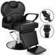 Heavy Duty Hydraulic Barber Chair, All Purpose Reclining Salon Chair with 360° Swivel & Adjustable Headrest for Hair Styling, Shaving & Tattoos