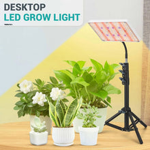 Load image into Gallery viewer, LED Grow Light with Stand for Indoor Plants
