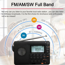 Load image into Gallery viewer, Digital Speaker Portable FM/AM SW Radio