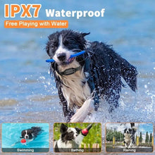 Load image into Gallery viewer, Dog Training Collar