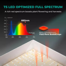 Load image into Gallery viewer, Full Spectrum Led Grow Lights For Indoor Plants
