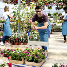 Load image into Gallery viewer, Folding Hand Truck Dolly Cart With Wheels