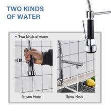 Load image into Gallery viewer, Single Handle Chrome Kitchen Faucet With Pull-Out Spray