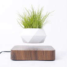 Load image into Gallery viewer, Magnetic Levitating Plant Pot For Bonsai, Real & Fake Plants