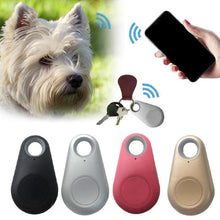 Load image into Gallery viewer, Pets Smart Mini Waterproof GPS Tracker With Battery