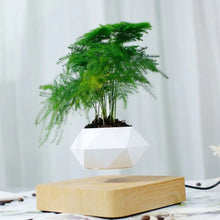 Load image into Gallery viewer, Magnetic Levitating Plant Pot For Bonsai, Real & Fake Plants