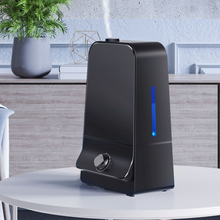 Load image into Gallery viewer, Portable Ultrasonic Cool Mist Home Bedroom Air Humidifier 6L