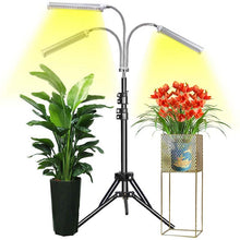 Load image into Gallery viewer, Freestanding LED Triple Head Full Spectrum Indoor Plant Grow Lights