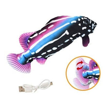 Load image into Gallery viewer, Floppy Fish Cat Toy
