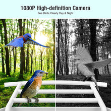 Load image into Gallery viewer, AI-Powered WIFI Smart Bird Feeder Camera