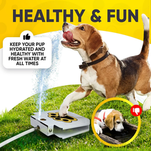 Load image into Gallery viewer, Premium Step On Paw Activated Dog Water Fountain Sprinkler