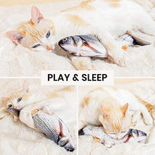 Load image into Gallery viewer, Floppy Fish Cat Toy