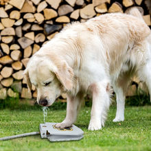 Load image into Gallery viewer, Premium Step On Paw Activated Dog Water Fountain Sprinkler