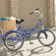 Folding Adult Three Wheel Tricycle Bike With Basket 20"