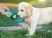 Load image into Gallery viewer, Portable Pet Dog Water Bottle : Perfect Outdoor Water Dispenser