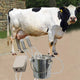 Heavy Duty Cow / Goat Suction Milking Machine Equipment 6L
