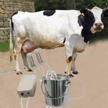 Load image into Gallery viewer, Heavy Duty Cow / Goat Suction Milking Machine Equipment 6L