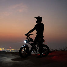 Load image into Gallery viewer, Electric Bike 1000W/2000W 13Ah/20Ah/40Ah 20'' Fat Tire Mountain E-bike