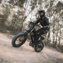 Load image into Gallery viewer, Electric Bike 1000W/2000W 13Ah/20Ah/40Ah 20'' Fat Tire Mountain E-bike