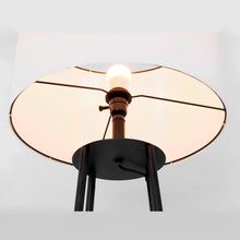 Load image into Gallery viewer, Floor Lamp
