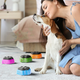 Fun Pet Communication Talking Word Commands Buttons