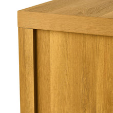 Load image into Gallery viewer, Accent Cabinet with Drawers
