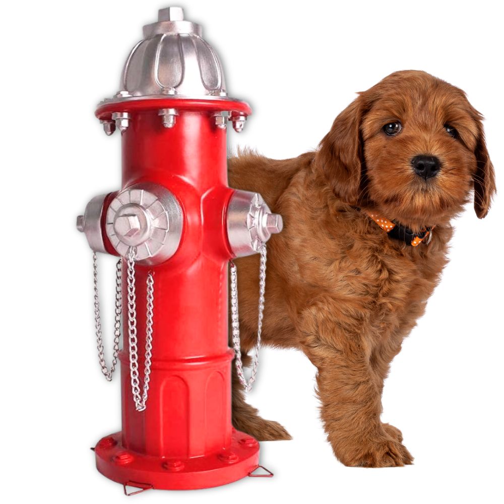 Realistic Dog Fire Hydrant Outdoor Decor and Training Prop