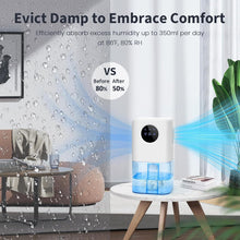 Load image into Gallery viewer, Dehumidifier For Bedroom And Bathroom

