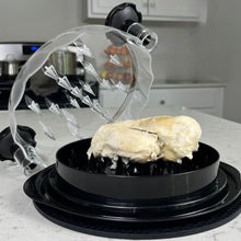 Load image into Gallery viewer, Chicken Breast Meat Shredder Tool for Fast Meal Prep
