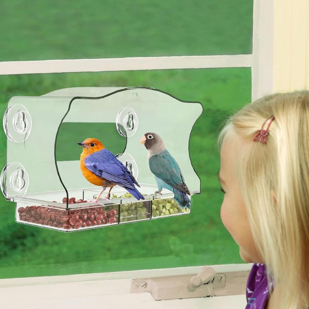 Transparent Acrylic Window Hummingbird Bird Feeder