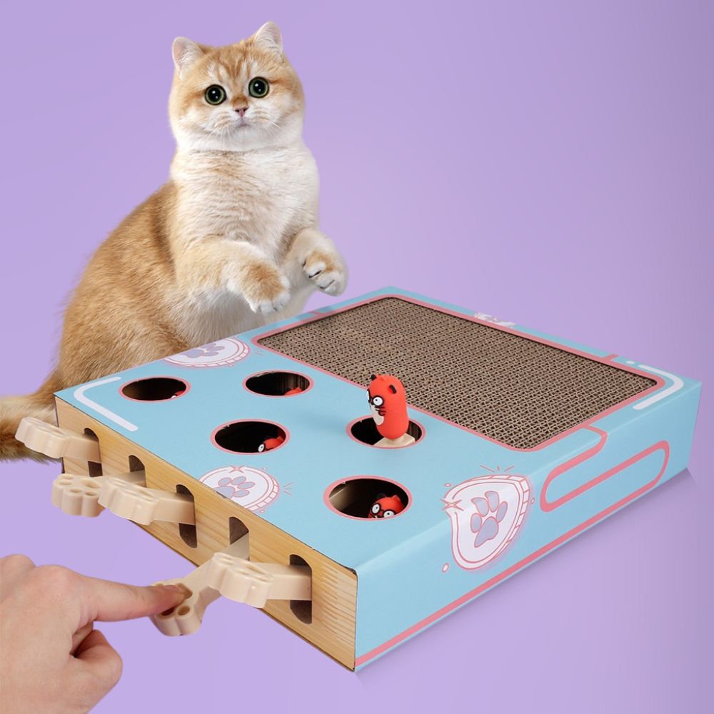 Interactive Whack-A-Mole Cat Toy