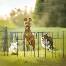 Load image into Gallery viewer, Heavy Duty Outdoor Garden Mounted Metal Dog Barrier Fence
