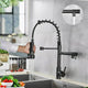 Single Handle Kitchen Faucet With Sprayer