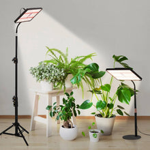 Load image into Gallery viewer, LED Grow Light with Stand for Indoor Plants
