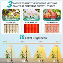 Load image into Gallery viewer, LED Grow Light with Stand for Indoor Plants
