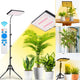 LED Grow Light with Stand for Indoor Plants